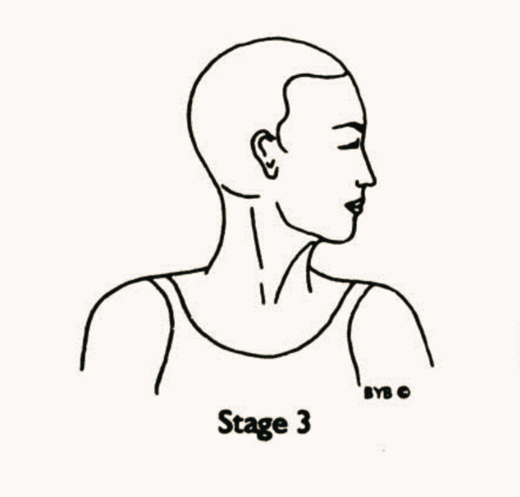 Greeva Sanchalana Variation&nbsp;3